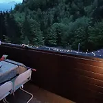 Dachstein View Apartmán *