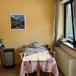 Dachstein View * Bad Goisern