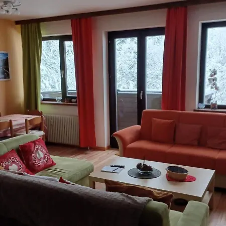 Апартаменты Dachstein View