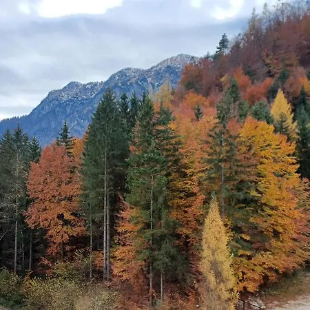 Dachstein View 바드고이세른