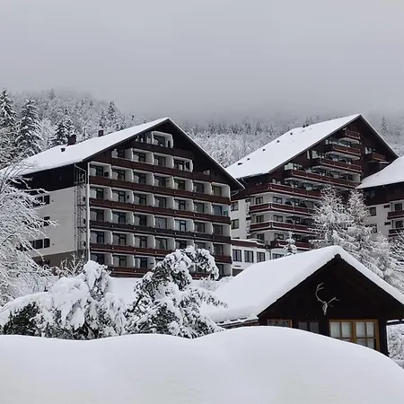 Dachstein View * 바드고이세른