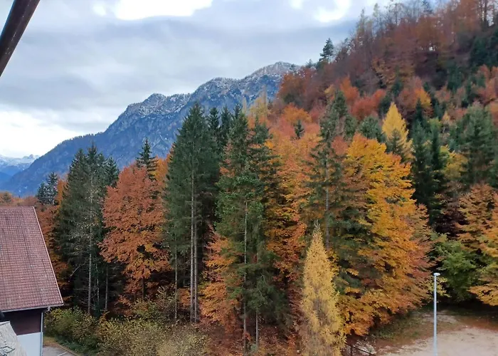 Dachstein View 바드고이세른