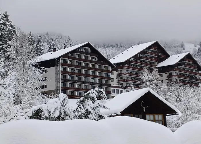 Dachstein View * 바드고이세른