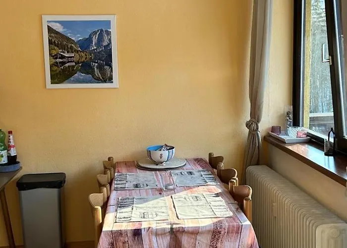 Dachstein View * 바드고이세른